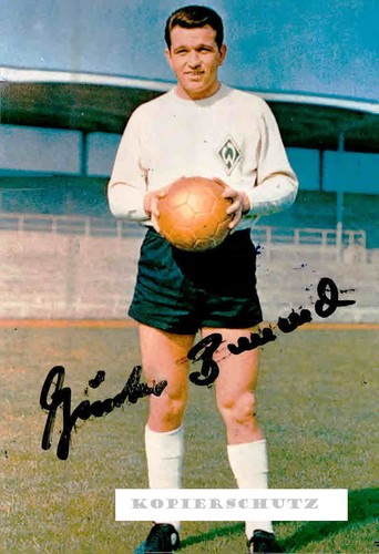 Günter bernhard - gÜnter,